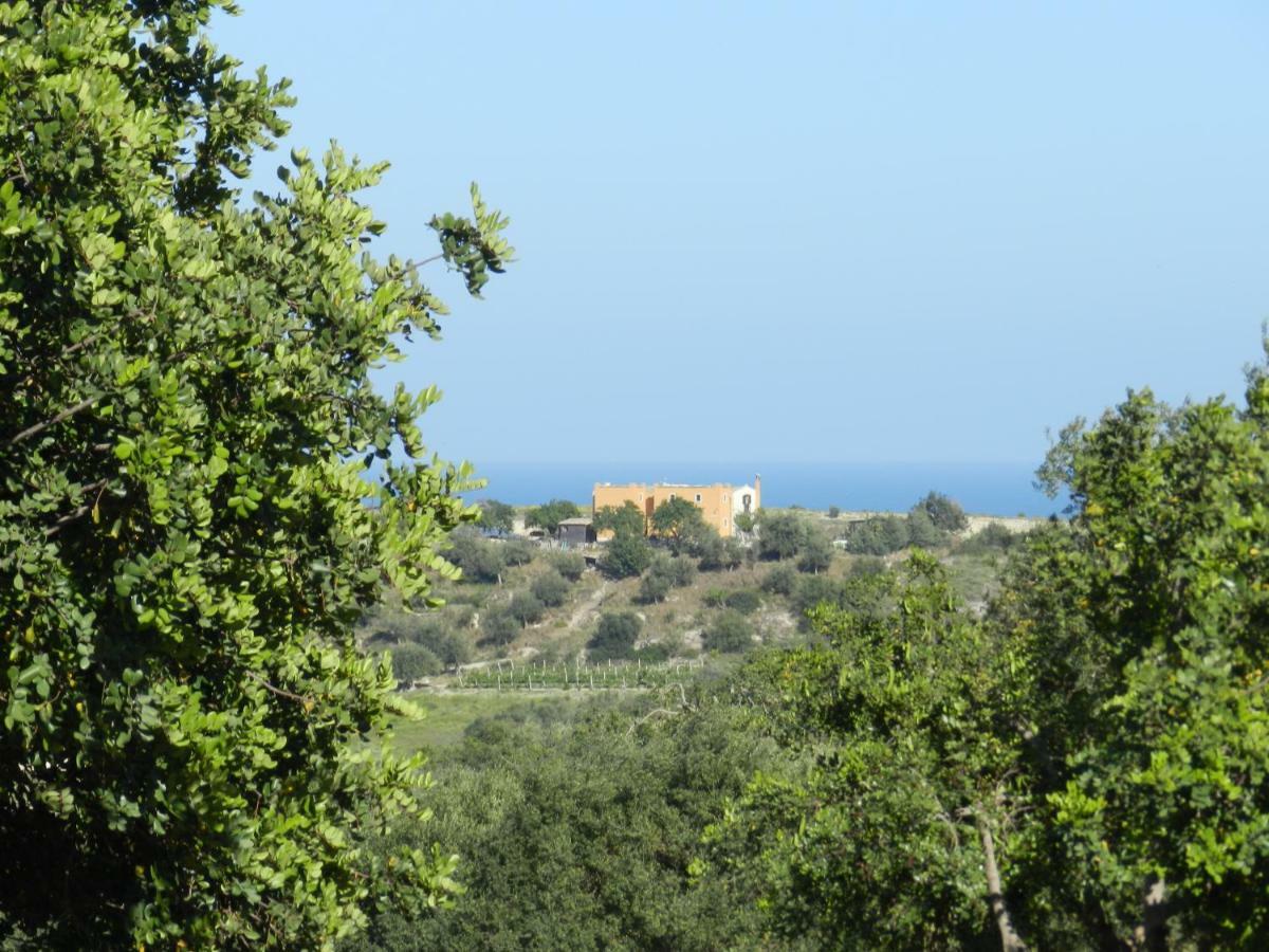 Villa Zammarra Casa Maccari ภายนอก รูปภาพ